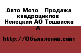 Авто Мото - Продажа квадроциклов. Ненецкий АО,Тошвиска д.